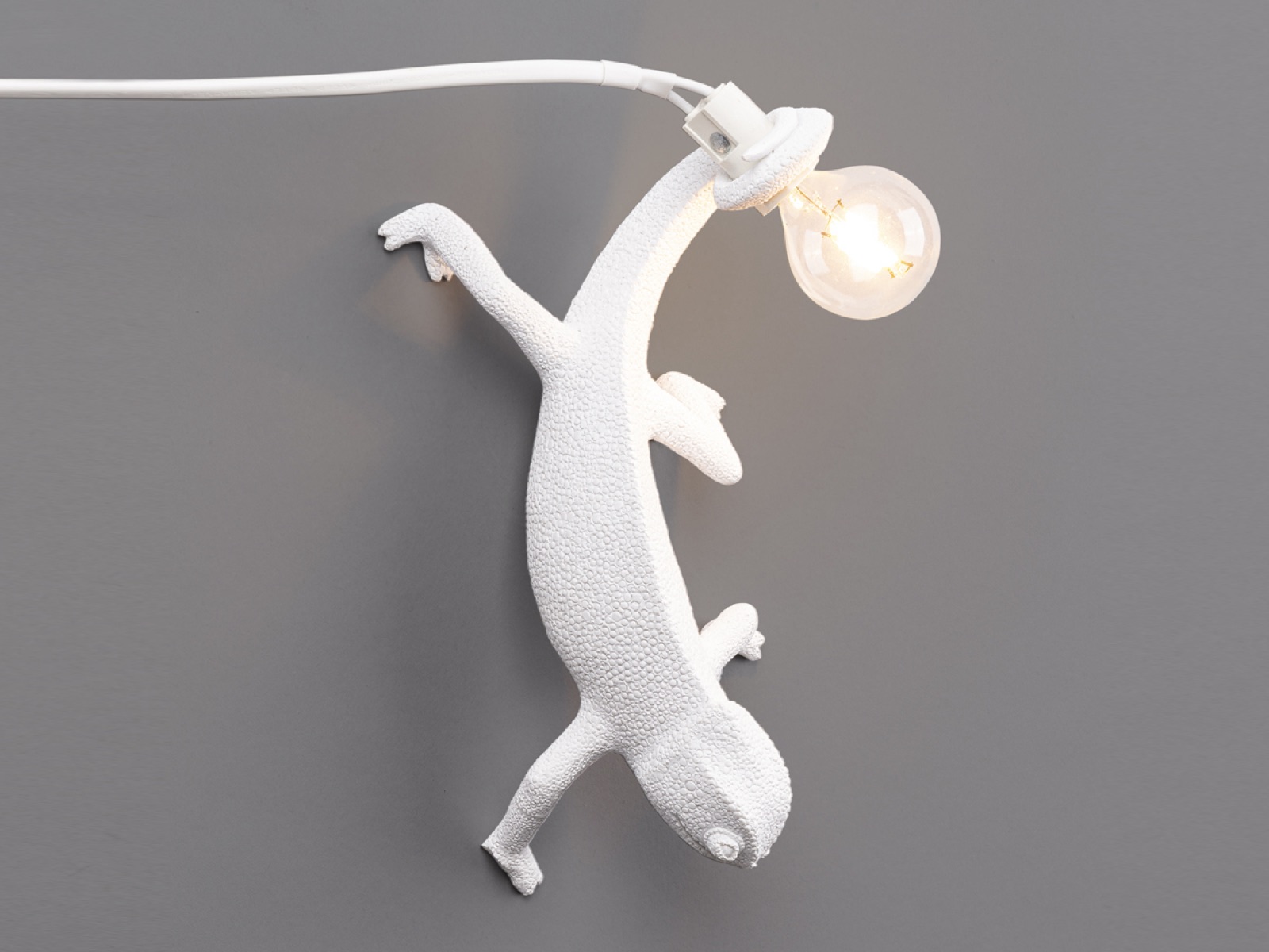 Бра Chameleon Going Down
