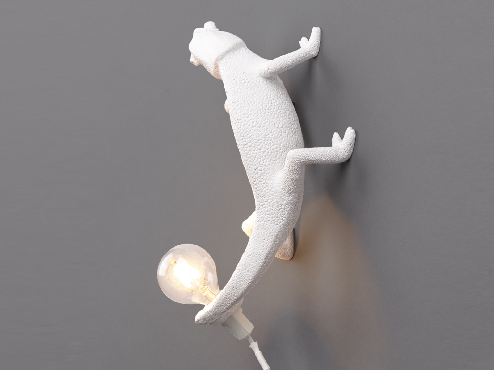 Бра Chameleon Going Up