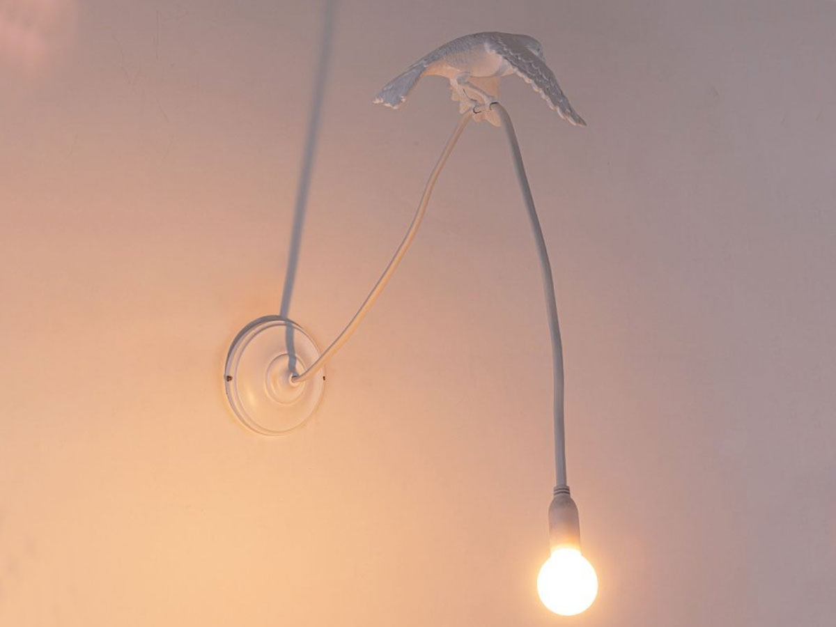 Бра Sparrow, Taking Off