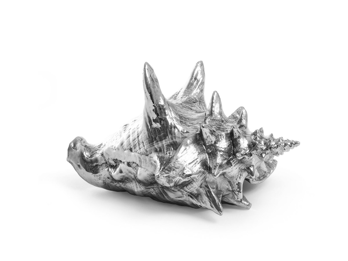 Предмет декора Shell