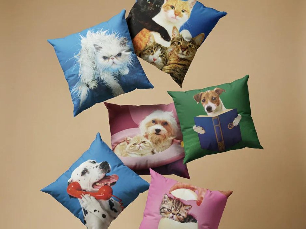Подушка Toiletpaper Pets, Gatto sorpresa
